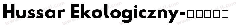 Hussar Ekologiczny字体转换